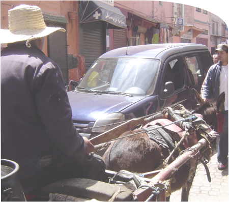 Marrakech - The Moroccan Marinade