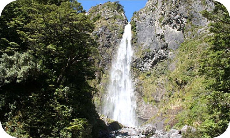 Ring Around New Zealand